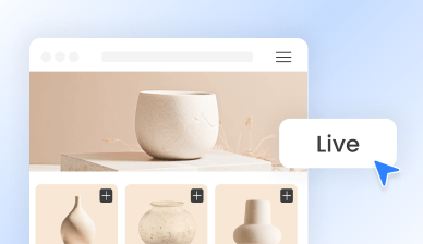 Instant Store Launch