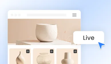 Instant Store Launch